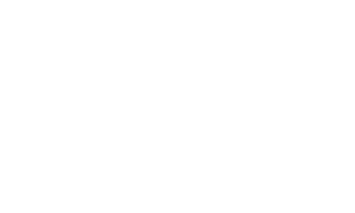 Il giardino di Sergi